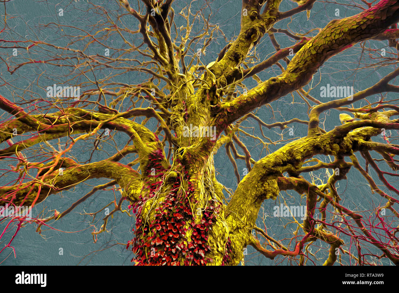 Eindruck der Baum im Winter Stockfoto