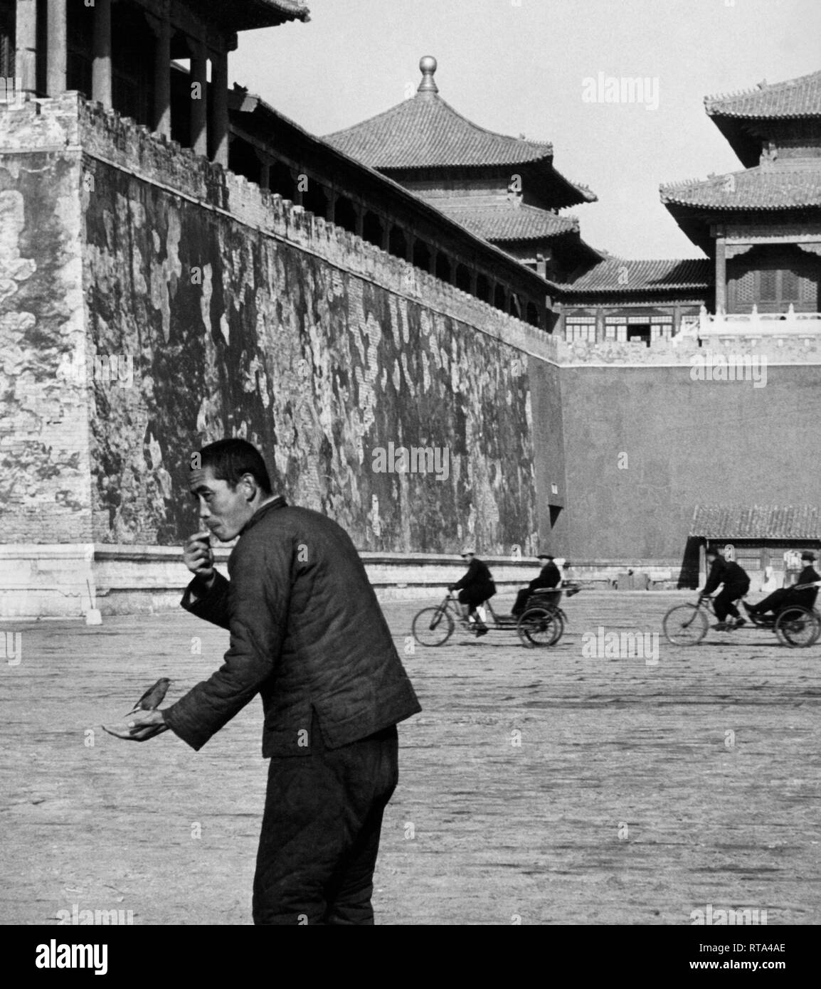 Leistung von einem singenden Vogel, Peking, China, Asien, 1950 Stockfoto