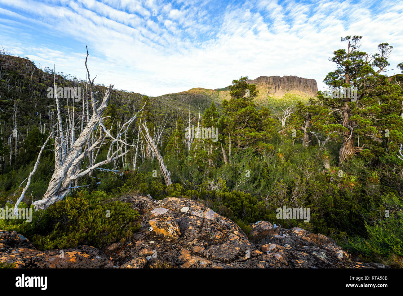 Sonnenaufgang über Ummauerten Mountan in Cradle Mountain - Lake St Clair National Park, Tasmanien Cradle Mountain - Lake St Clair National Park, Tasmanien Stockfoto