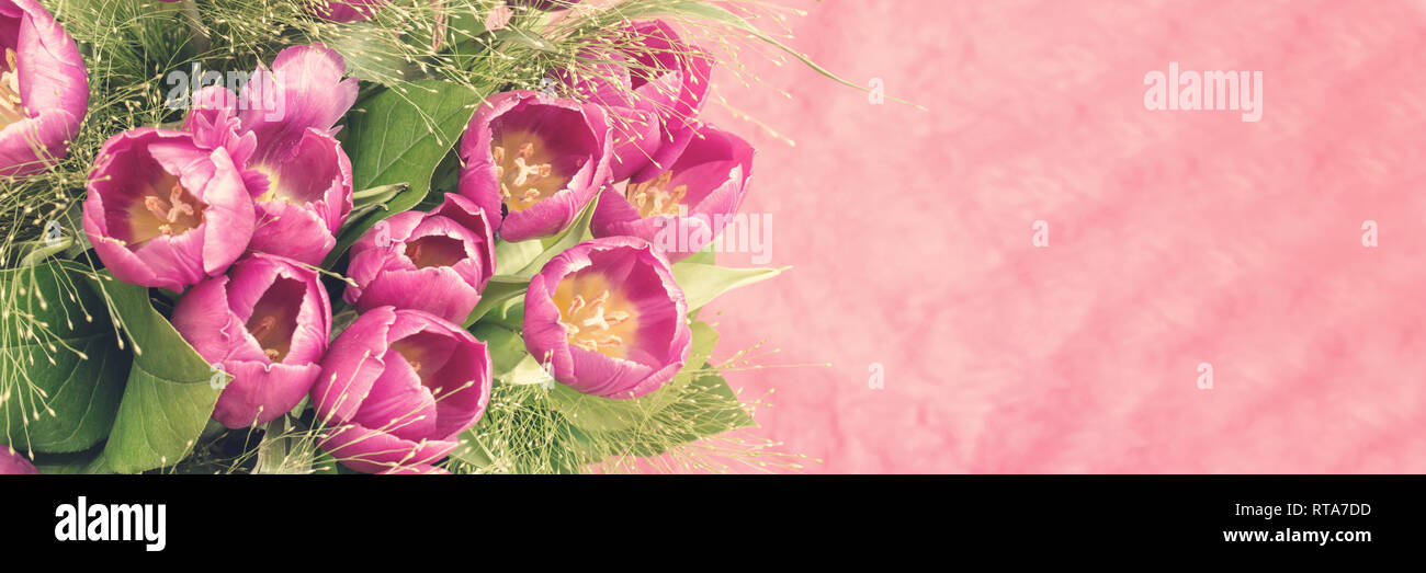 Bündel von rosa Tulpen, weich und Pastellfarben, Vintage Style, Panorama Hintergrund Stockfoto