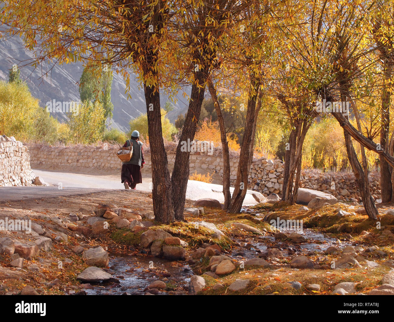 Ein fruchtbares Tal in hohen Plateau, Himalaya Ladakh Stockfoto