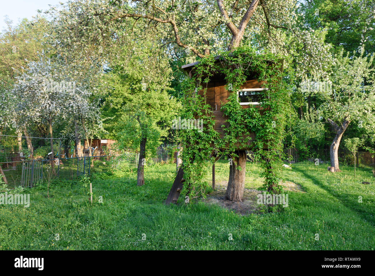 Haus auf Baum im grünen Frühling Garten Stockfoto