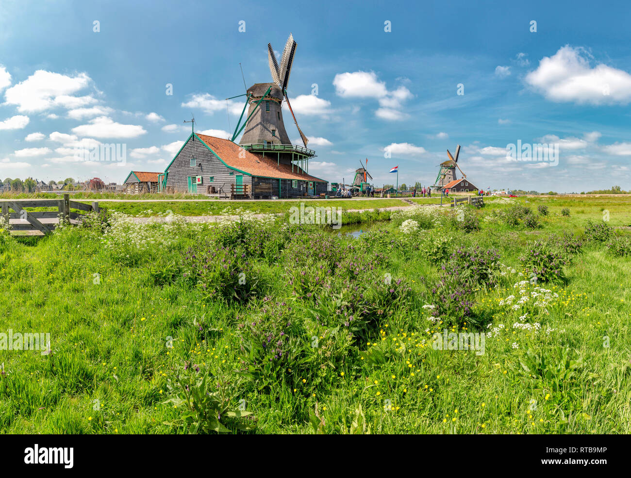 Windmühlen genannt De Kat, Het Jonge Schaap und De Zoeker Stockfoto