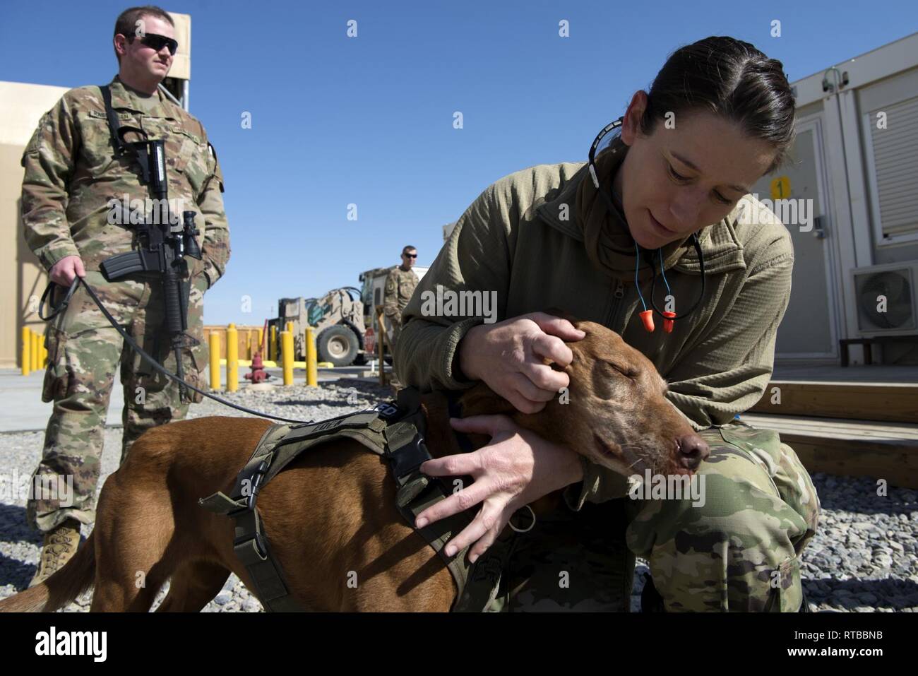 Air Force für religiöse Angelegenheiten Flieger von der 451St Air Expeditionary Gruppe mit Armee behavioral Soldaten aus dem Zug Beraten und Unterstützen Command-South Feb 2, 2019 in Kandahar Airfield, Afghanistan zusammengetan. Sie machten sich auf den Weg durch verschiedene Geschäfte innerhalb der 451St Expeditionary Aircraft Maintenance Squadron, Flieger und Personal mit Eden, eine Armee Therapiehund zu interagieren. Stockfoto