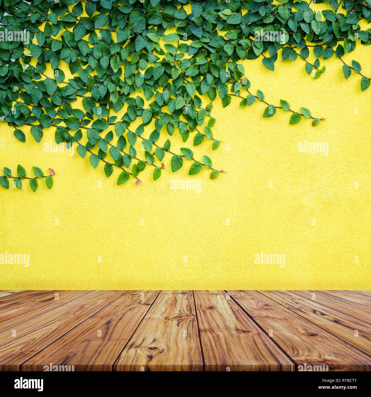 Leere Holz Tischplatte mit Grün auf Gelb Betonwand Hintergrund bleibt, bereit, uns Anzeigen oder Montage Produkte design Stockfoto