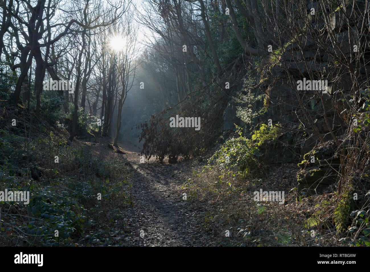 Winter Waldwege in Beaumont Park, Huddersfield Stockfoto