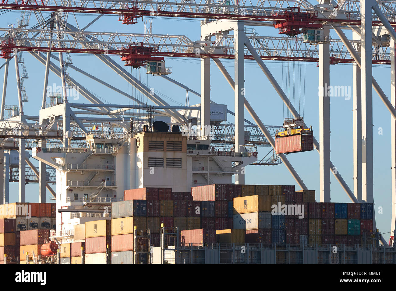 Container geladen und von der MSC MARIA ELENA Containerschiff, Am Container Terminal Southampton, Hampshire, UK im Hafen entladen. Stockfoto
