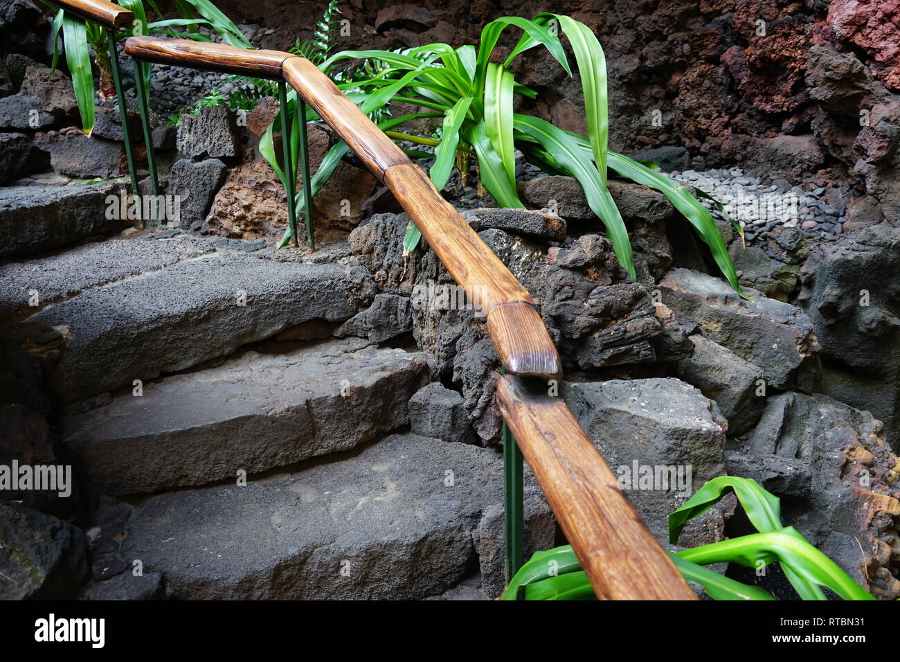 Jameos del Agua, im Lavafeld des Monte Corona, geschaffen von César Manrique, Lanzarote, Kanarische Inseln, Spanien Stockfoto