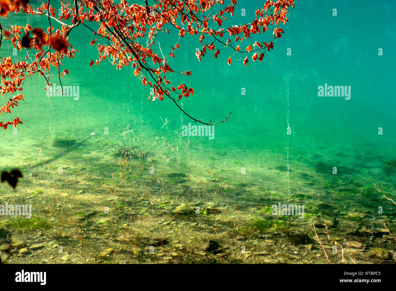 Konzept Landschaft: Blautopf - blaubeueren - Deutschland Stockfoto