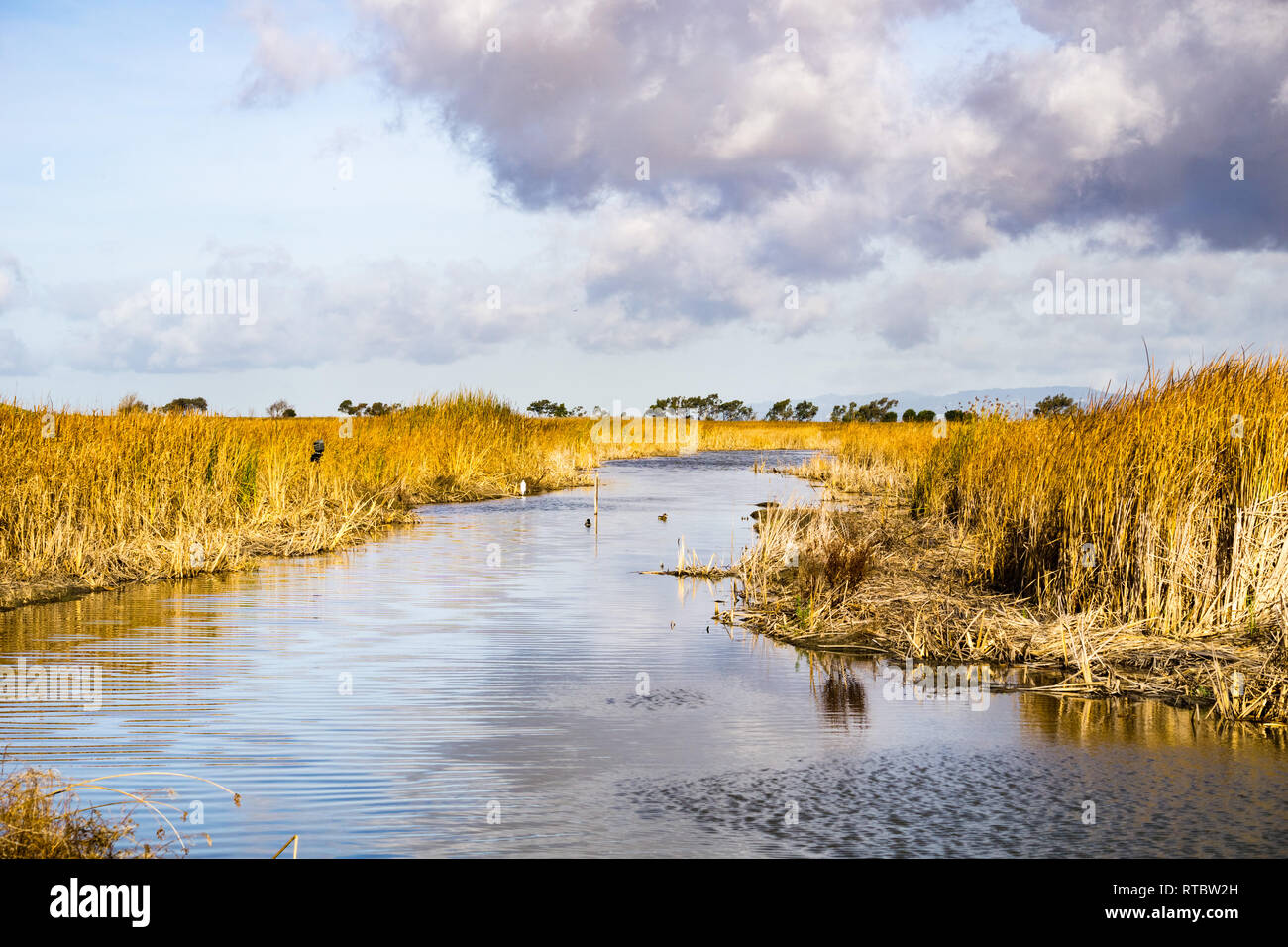 Wasserstraße in Coyote Hills Regional Park, östlich der Bucht von San Francisco, Kalifornien Stockfoto