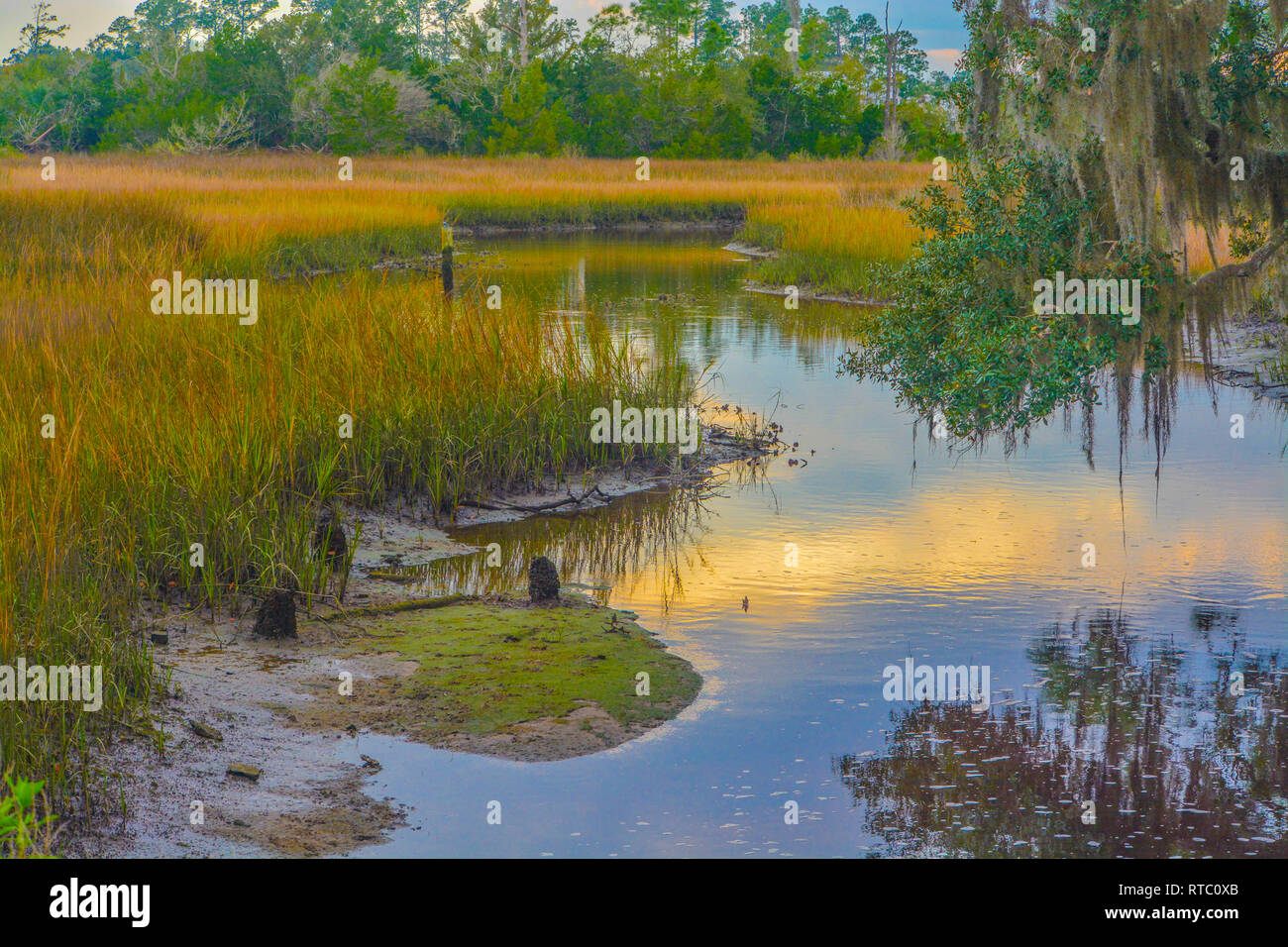 Eine Bucht auf Tolomato Fluss, St Johns County, Florida, USA Stockfoto