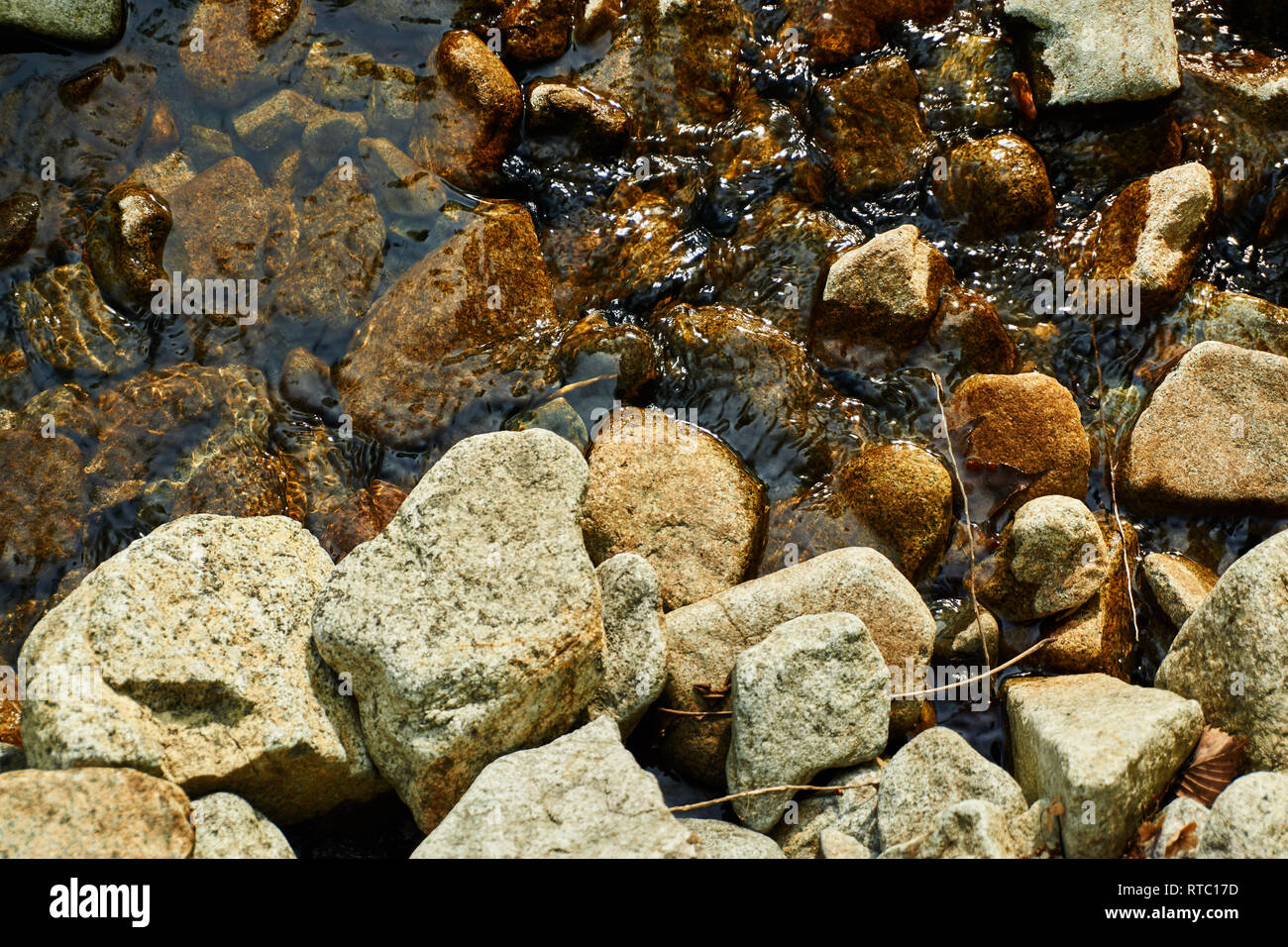 Steine, Stöcke, und getrockneten Blätter liegen in einem Flussbett, während das Wasser in der Nähe in Yuzawa, Niigata, Japan fließt. Stockfoto