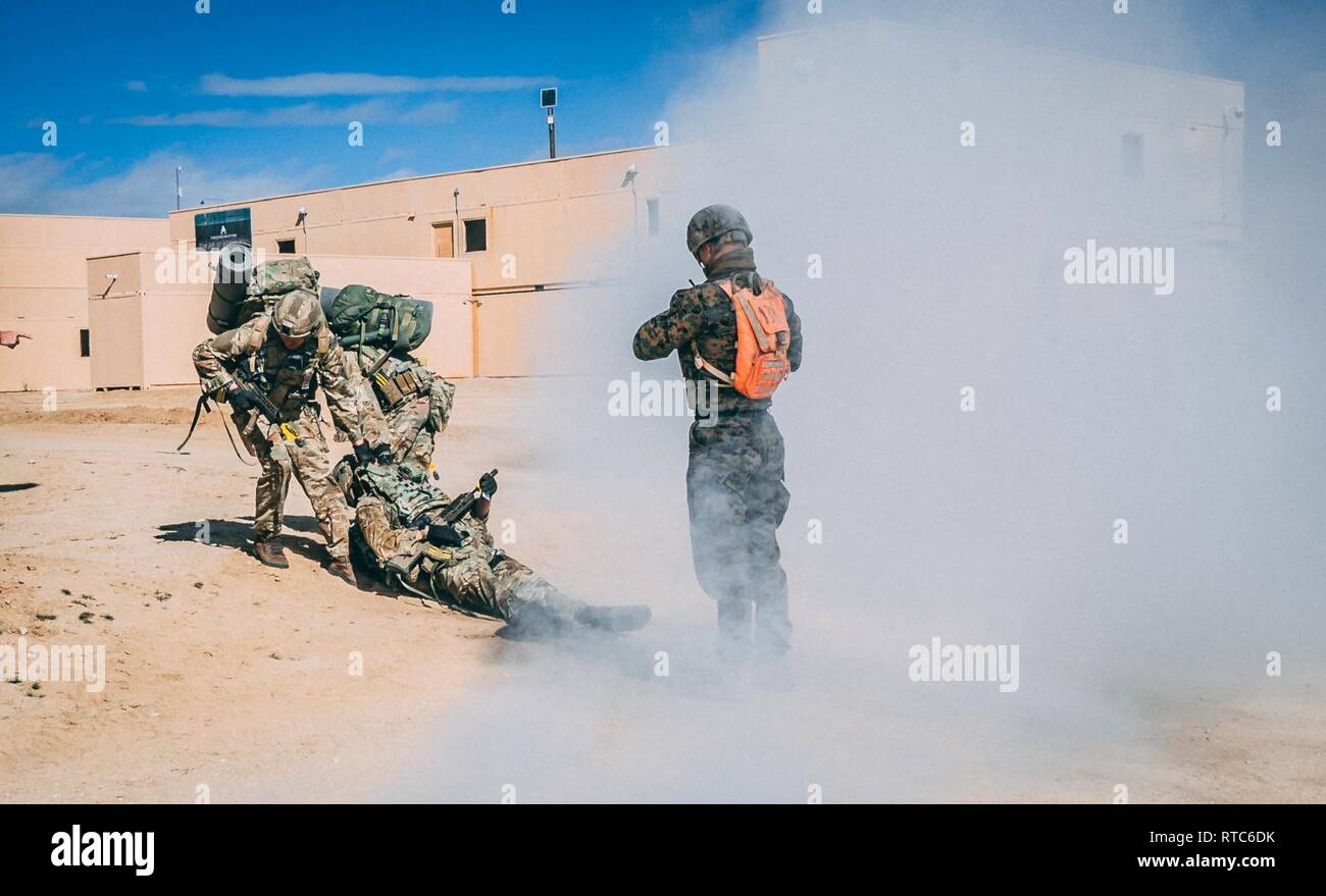 U.K. Royal Marines mit 45 Commando, führen Sie eine Unfallversicherung der Evakuierung des Integrierten Übung (ITX) 2-19 an der Reihe 220, Marine Corps Air Ground Combat Center, Twentynine Palms, Calif Feb 9, 2019. ITX schafft eine Anspruchsvolle, realistische Umgebung, produziert combat ready"-Kräfte, die als integrierte Marine Air Ground Task Force. Stockfoto