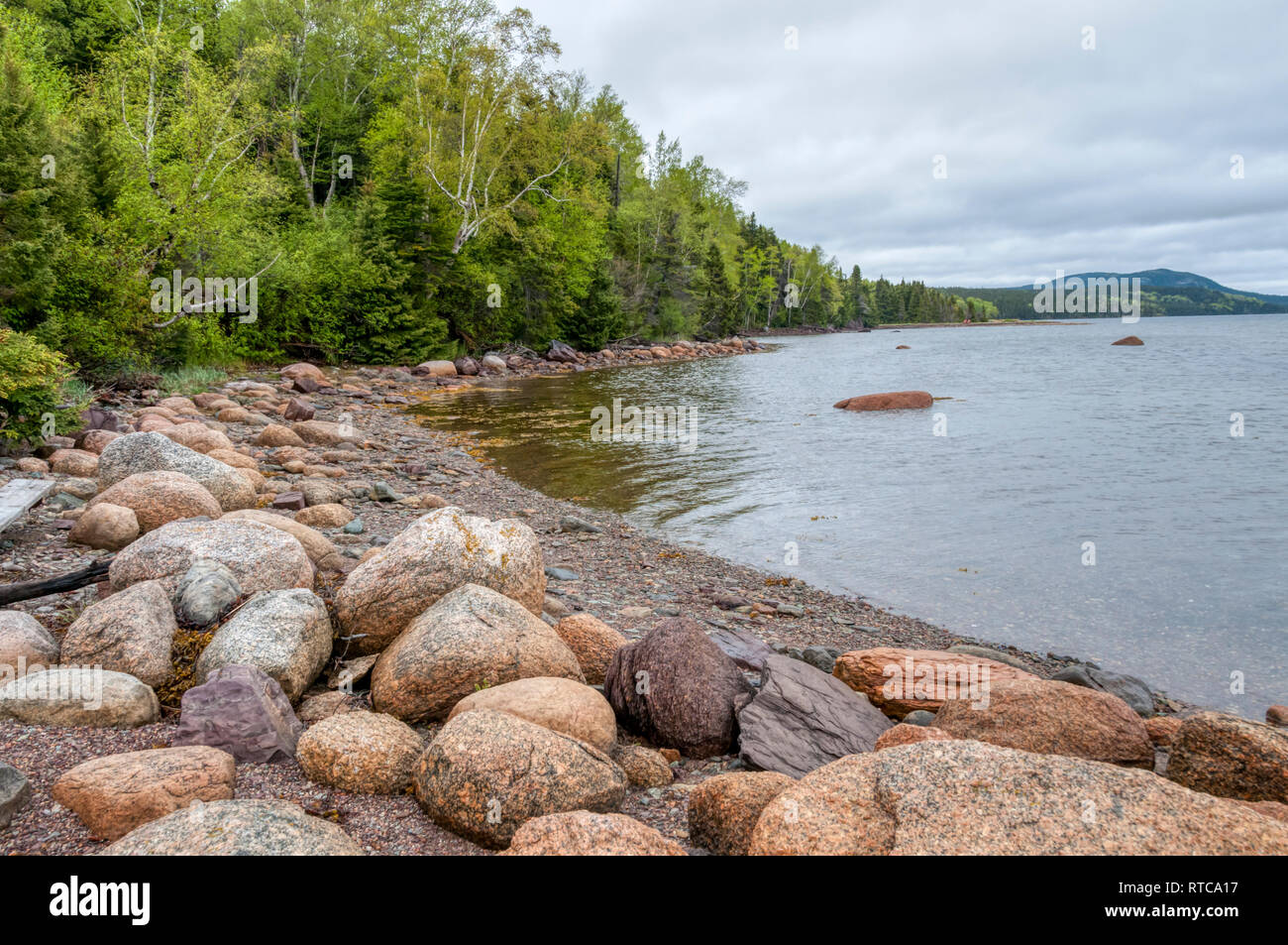 Große Felsbrocken am Strand in Terra Nova Nationalpark, Neufundland, Kanada Stockfoto