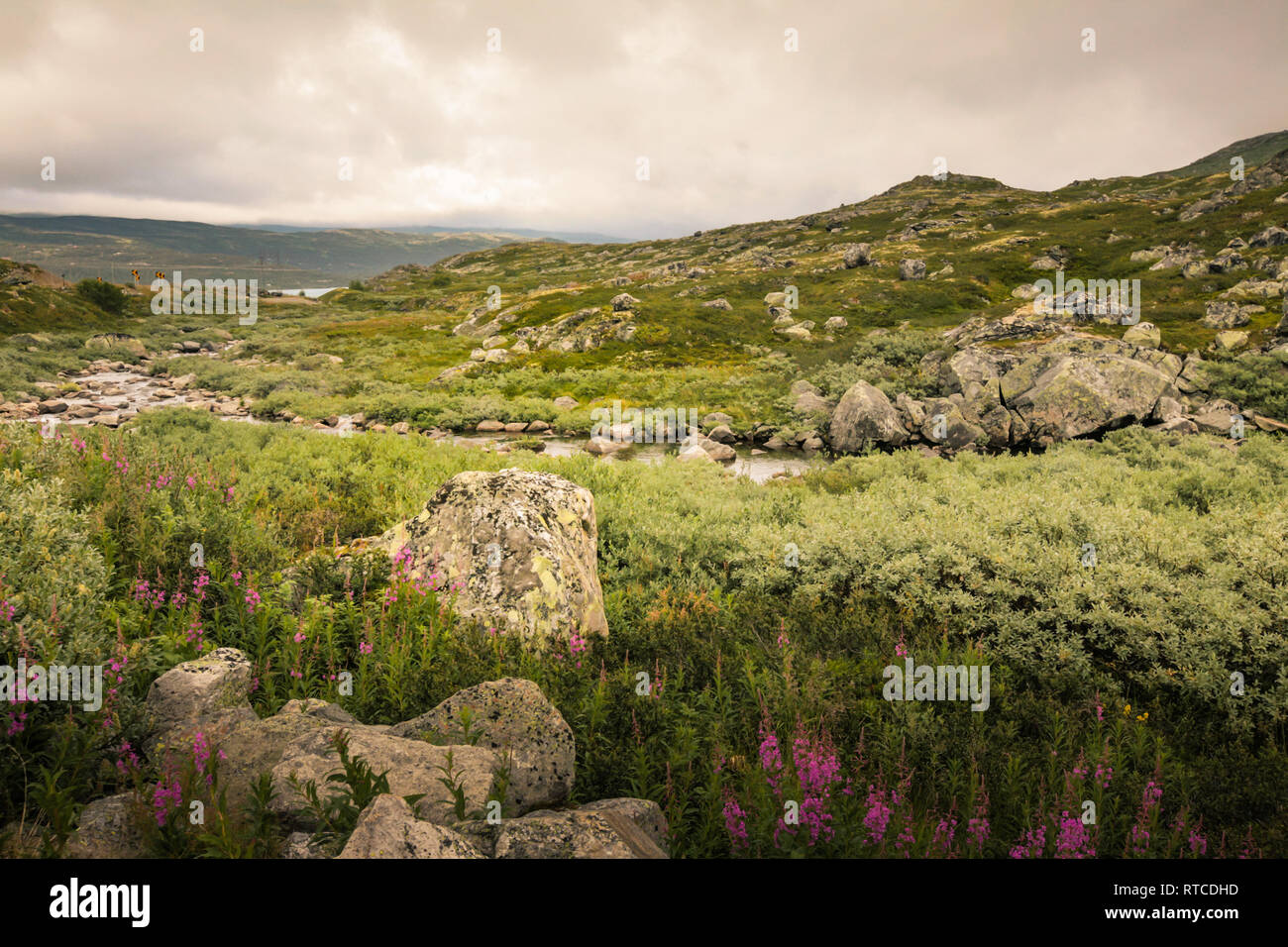 Norwegen Bergwelt Sommer Tag Stockfoto