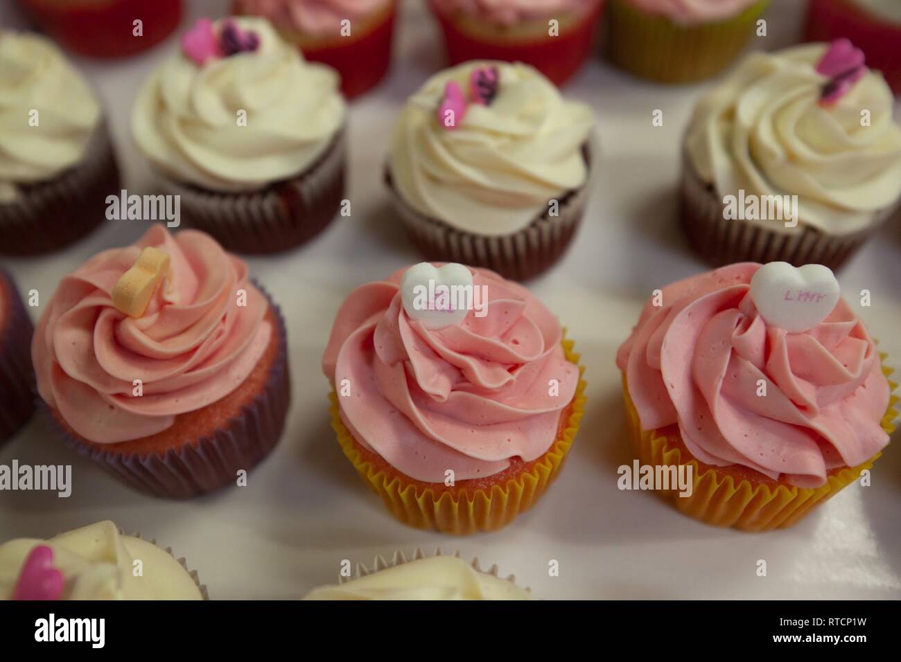 Cupcakes sitzen auf dem Display während der USO Cupcake Drop in Camp Johnson, N.C., 14.02.2019. Die Jacksonville, N.C., USO brachte eine süße Überraschung zum Marine Corps Combat Service Support Schulen Studenten, die von der lieben am Valentinstag durch Backen und spenden Cupcakes für den Betrieb: Cupcake fallen. Stockfoto
