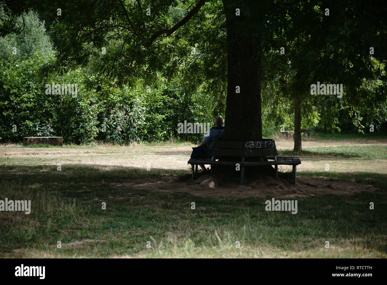 Der Schatten einer alten Mann sitzt auf einer Parkbank unter einem alten Baum. Stockfoto