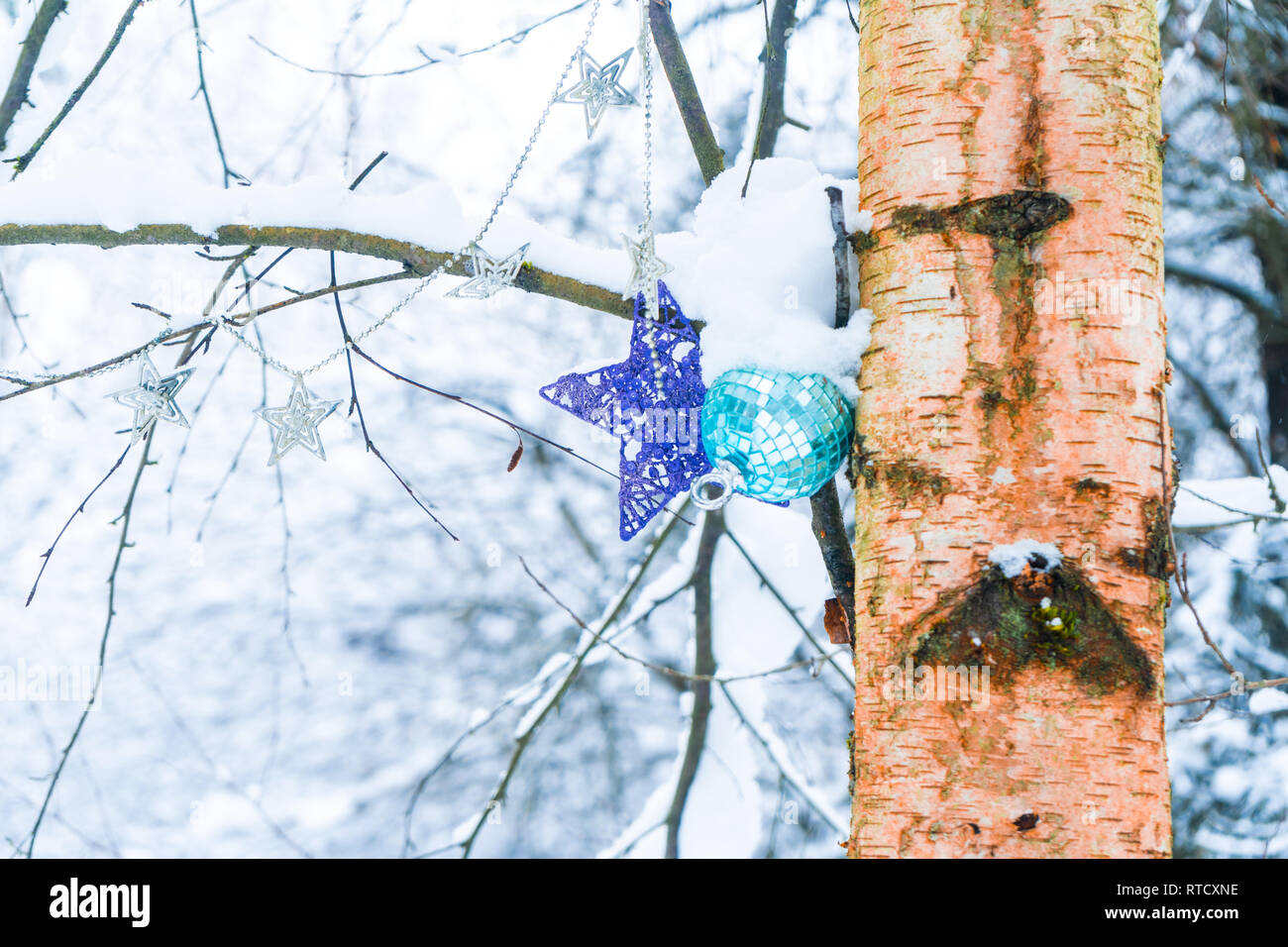 Weihnachtsschmuck hängen an einem Baum in einem verschneiten Wald nach einem Schneesturm, Spiegel, Winter, Kälte, Weihnachten & Urlaubszeit. Stockfoto