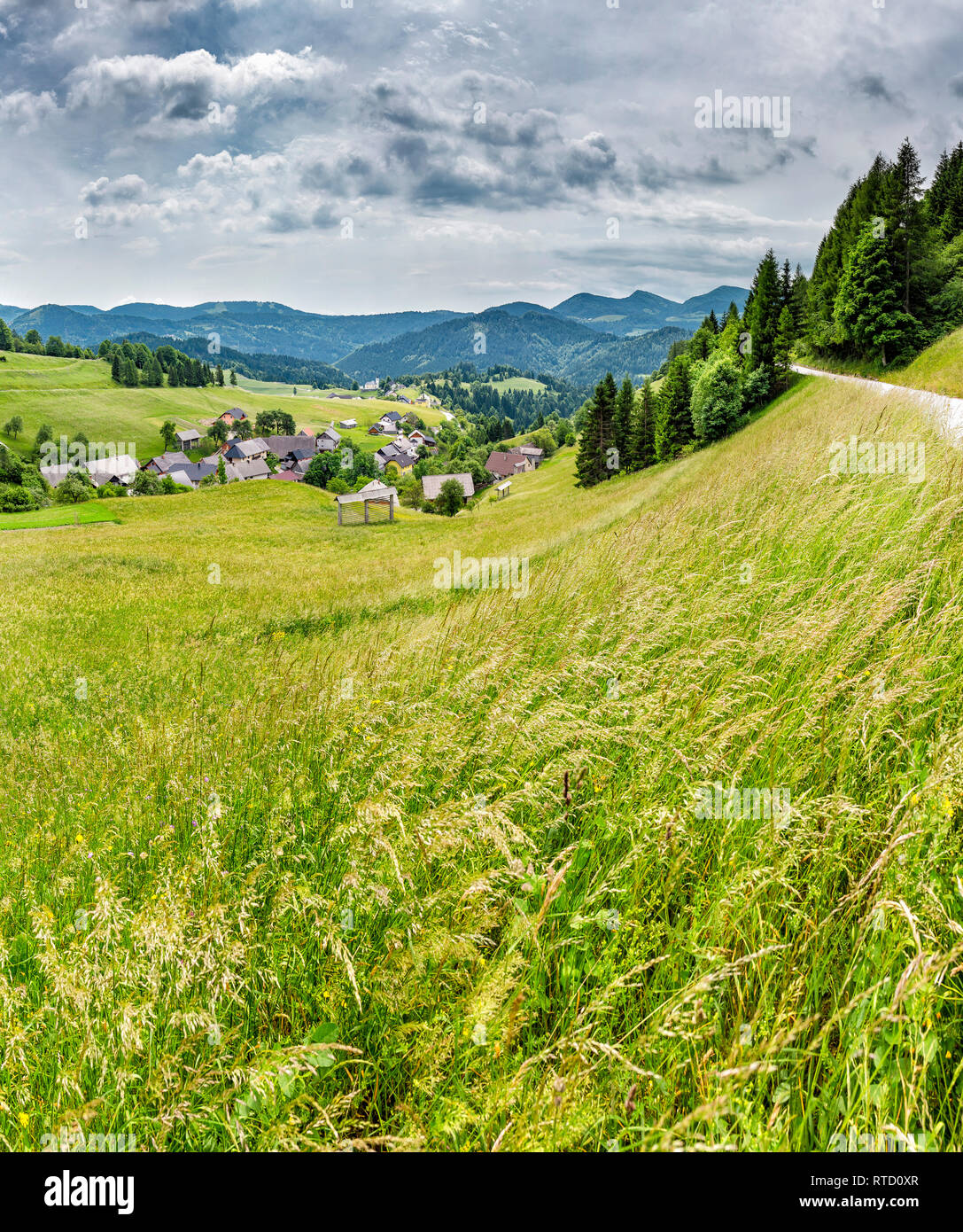 Verstreute Häuser in ein grünes Tal, Spodnja Sorica, Slovenien Stockfoto