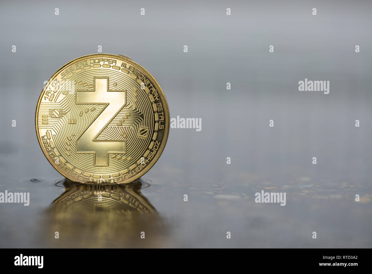 Z-Cash ZEC Kryptowährung physische Münze, die im Sumpf des Wassers platziert wird. Objekt auf der linken Seite des Bildes gerahmt. Stockfoto