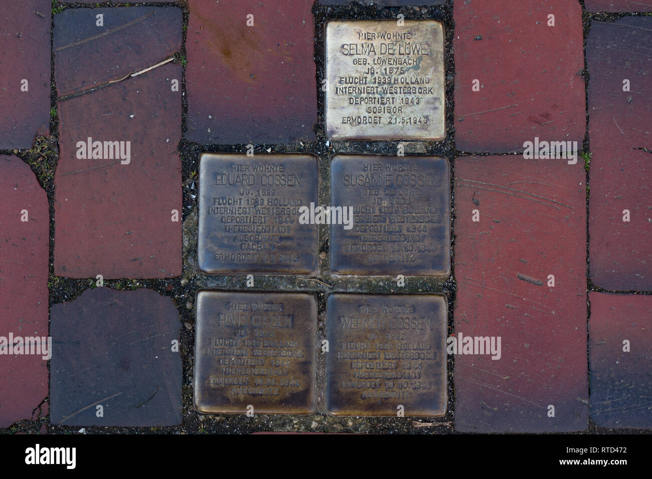 Messingplaketten Stolpersteine oder Stolpersteine, die in Straßenbelägen verlegt wurden, um einzelne von den Nazi-Toten zu töten. Norden. Ostfriesland, Niedersachsen Stockfoto