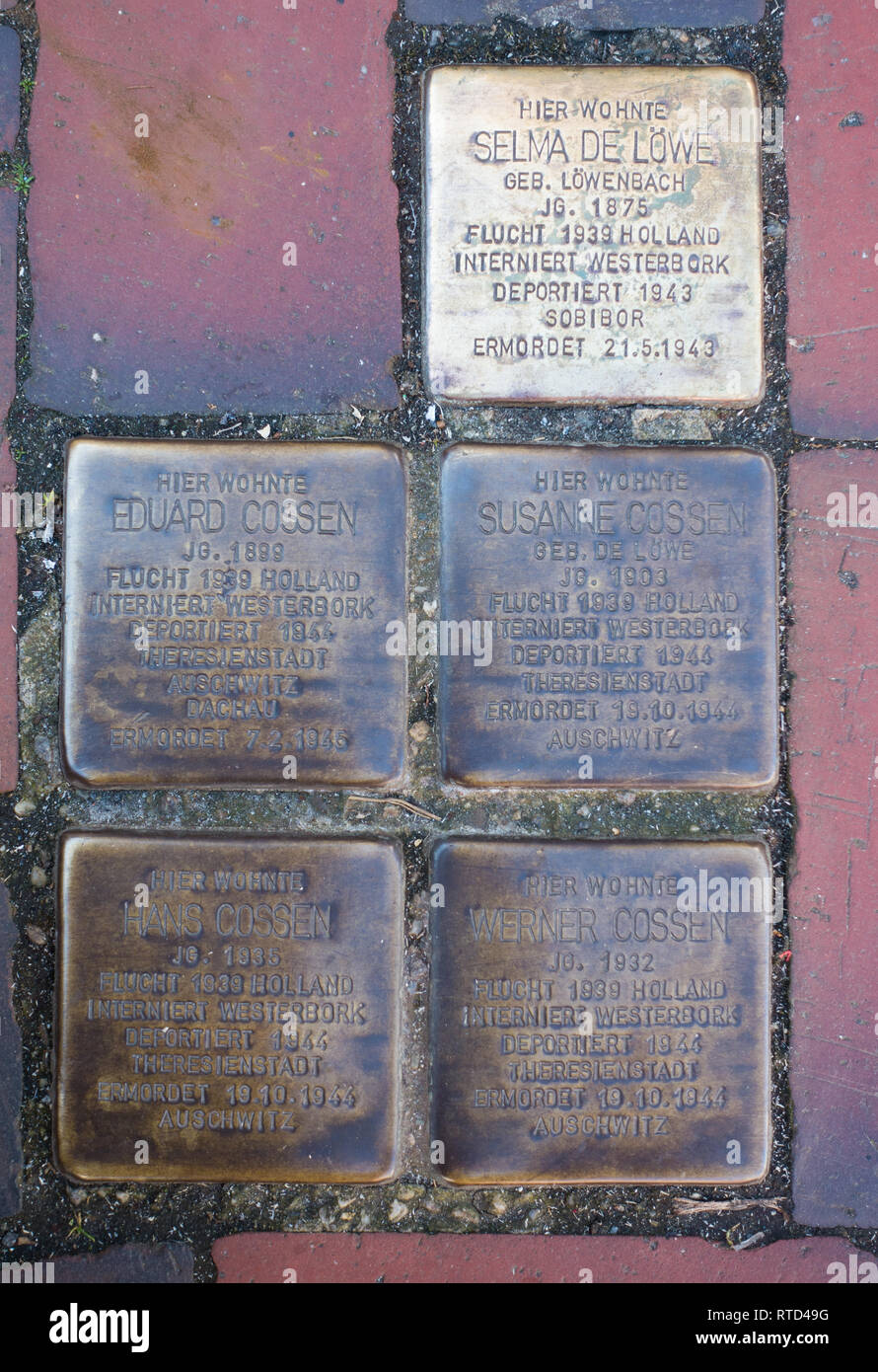 Messingplaketten Stolpersteine oder Stolpersteine, die in Straßenbelägen verlegt wurden, um einzelne von den Nazi-Toten zu töten. Norden. Ostfriesland, Niedersachsen Stockfoto