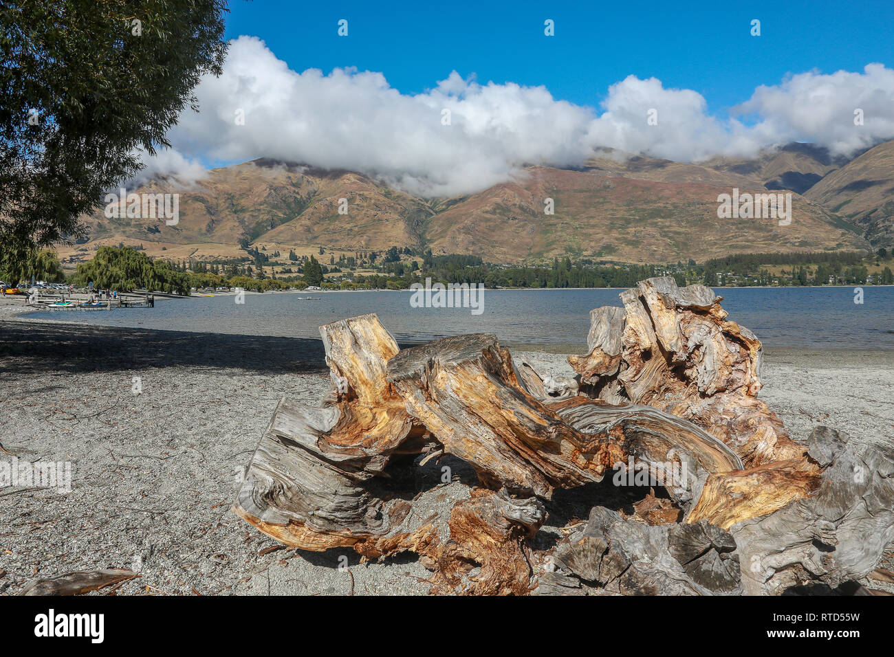 Verwitterter Baumstrunk am Kieselstrand von Lake Wanaka an einem sonnigen Sommertag in Richtung Hauptstrand mit Bergen suchen, Neuseeland Südinsel Stockfoto