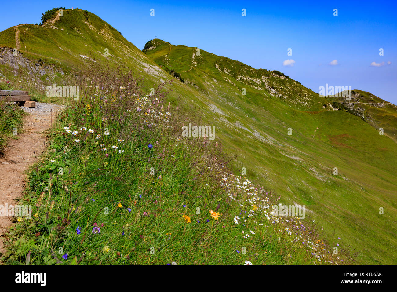 Zu Fuß und mit Blumen wiese auf der Spitze des Berges in der Nähe von Fronalpstock, Schweiz Stockfoto