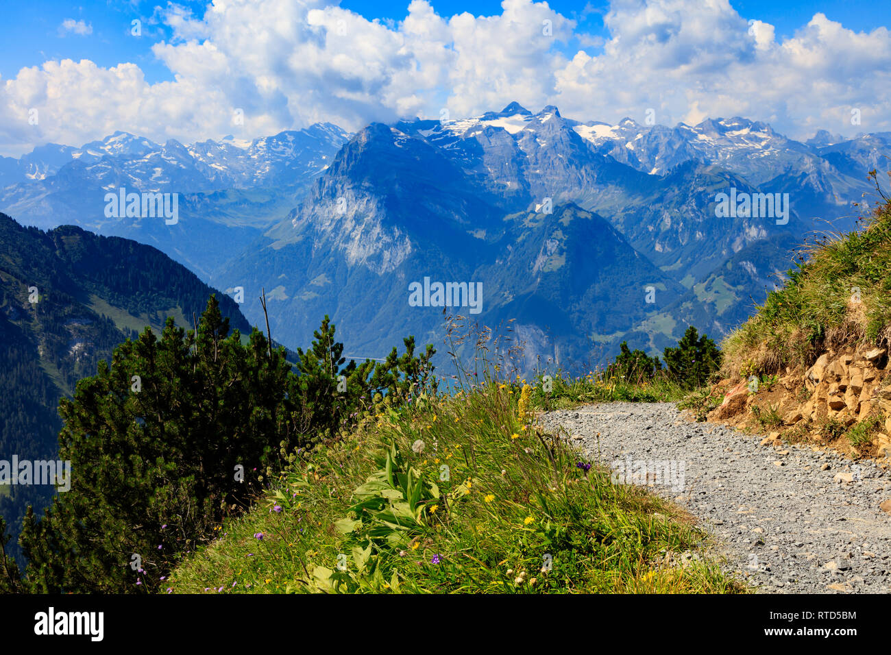 Gehen Sie auf die Spitze des Berges, Blumenwiese und einen Blick auf den See Luzern, im Hintergrund die Berge der Schweiz Stockfoto