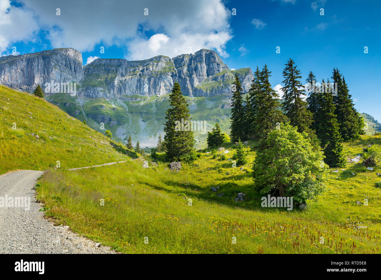 Spaziergang durch eine Wiese zum eggstock, Schweizer Alpen, Schweiz Stockfoto