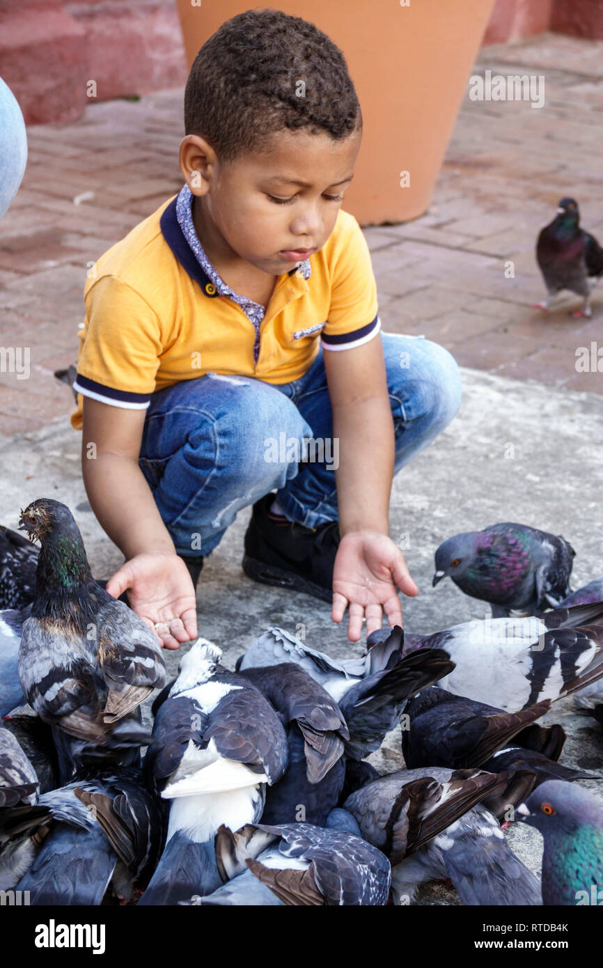 Cartagena Kolumbien, Junge Jungen, männliches Kind Kinder Kinder Jugendliche, Kind, Vorschulalter, Tauben füttern, Einwohner von Hispanic, Hausbesetzer, COL190119 Stockfoto