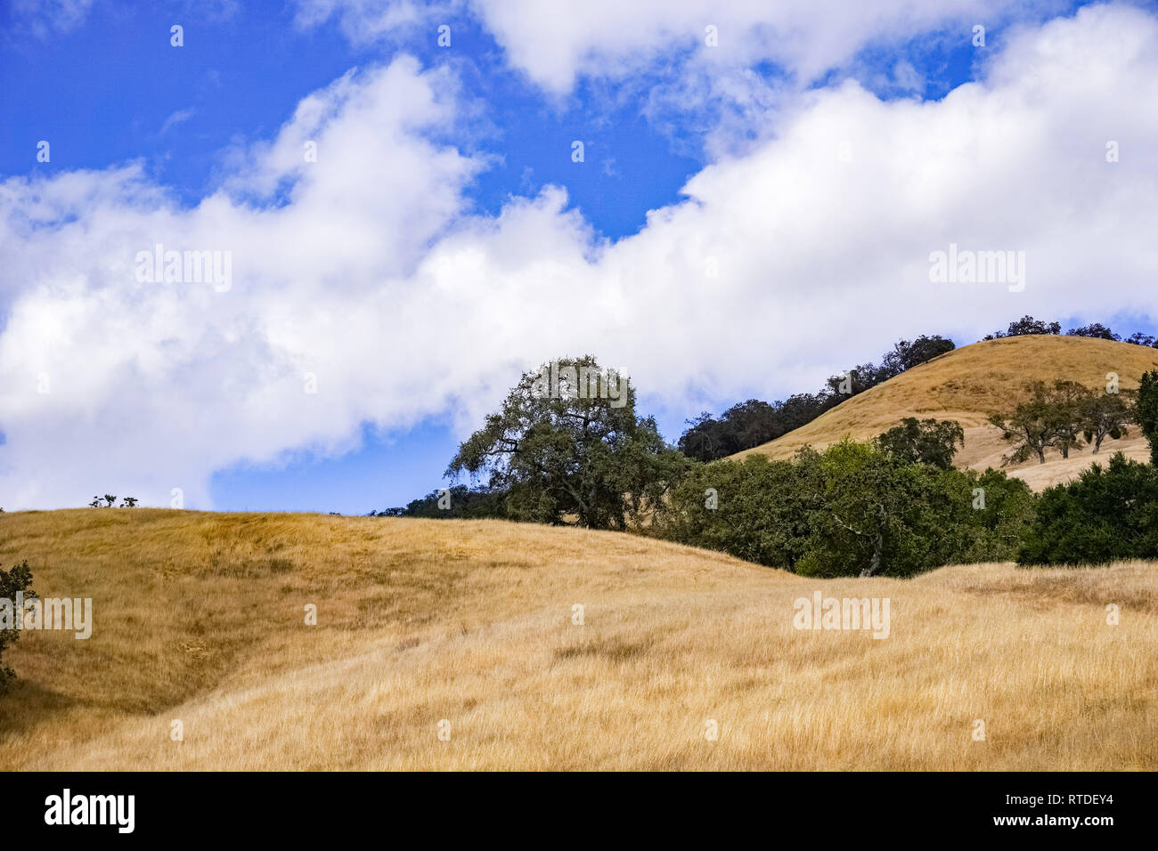 Wechselhaftes Wetter Anfang Oktober in Henry W. Coe Park State Park, Kalifornien Stockfoto