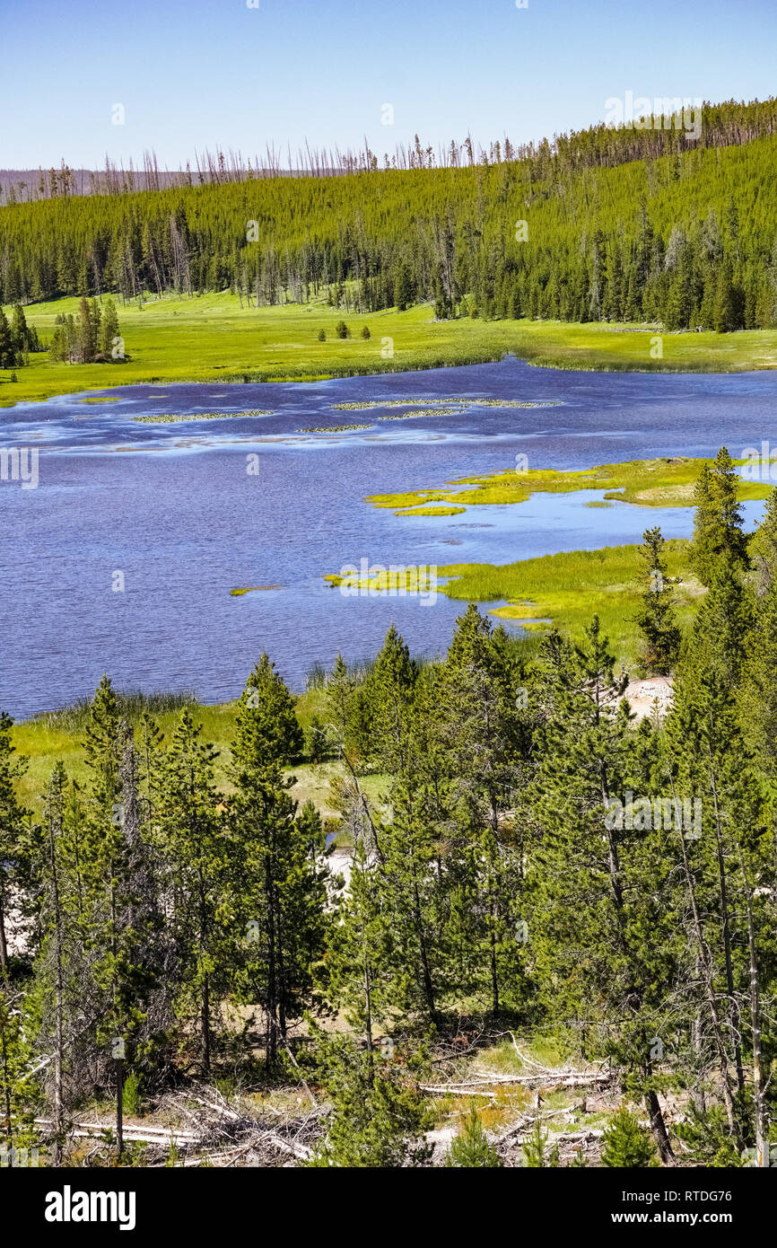 Bergsee mit gelben Seerosen, Yellowstone-Nationalpark Stockfoto