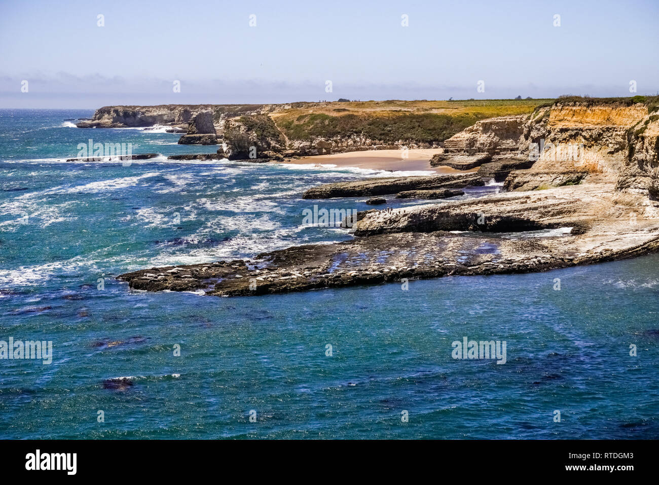 Robuste Pazifik Küste (und Seehunde Ruhen), Kalifornien Stockfoto