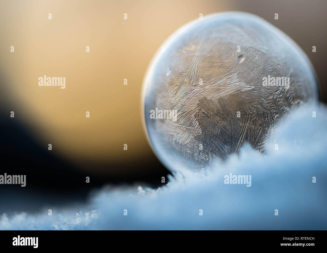 Gefrorene Seifenblasen im Winter Licht Stockfoto