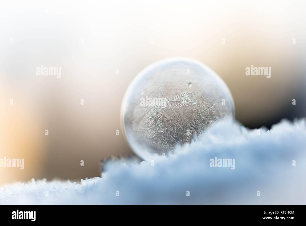 Gefrorene Seifenblasen im Winter Licht Stockfoto