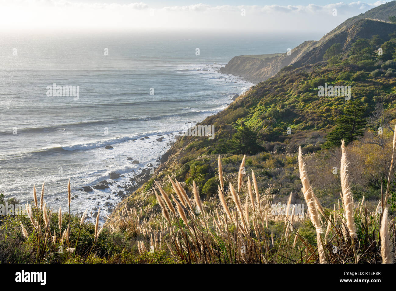 Vista Blick auf die Küste von Big Sur in Kalifornien, als die Sonne über dem Pazifik, die Beleuchtung der cortaderia jubata am Grat entlang. Stockfoto