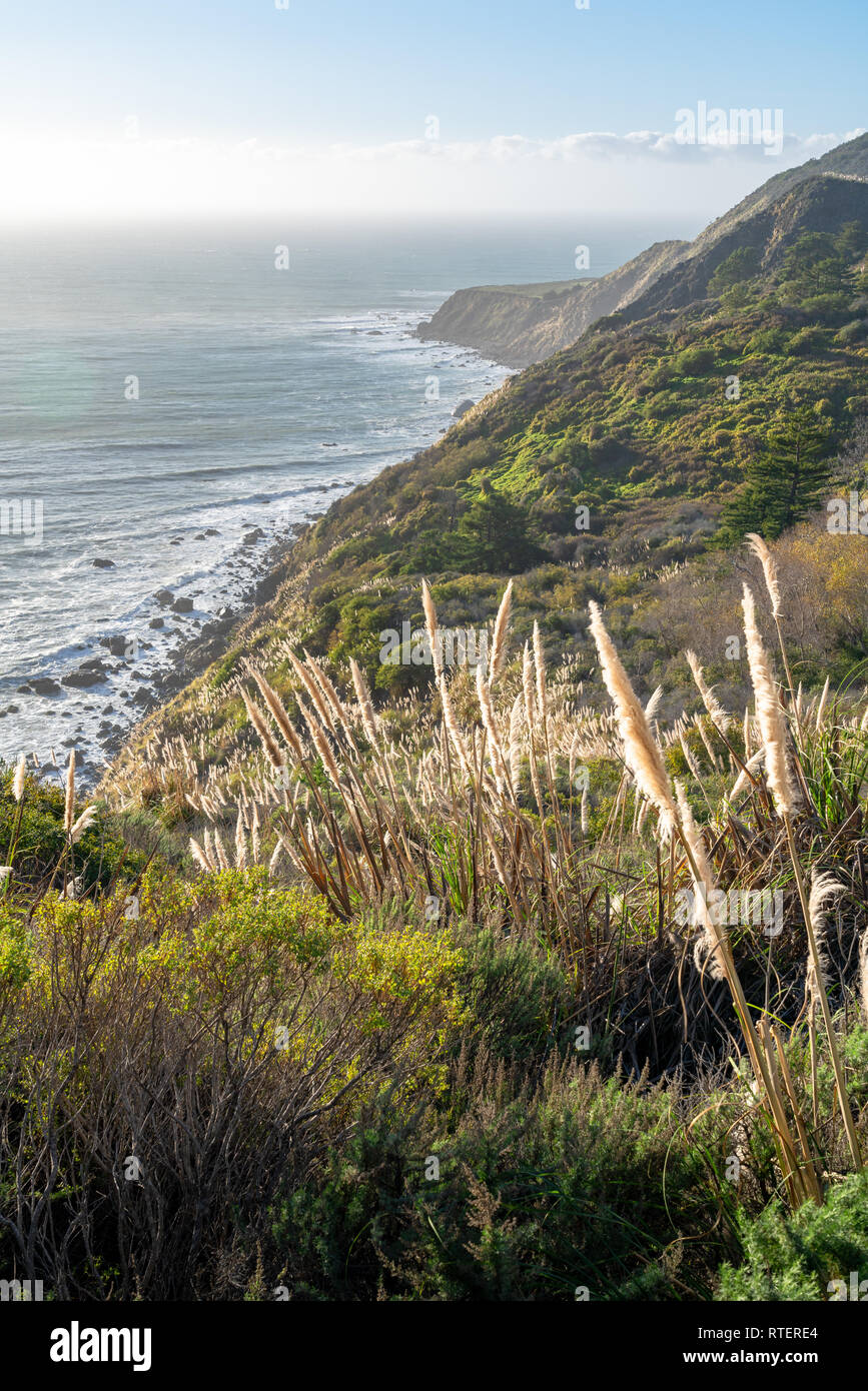 Vista Blick auf die Küste von Big Sur in Kalifornien, als die Sonne über dem Pazifik, die Beleuchtung der cortaderia jubata am Grat entlang. Stockfoto