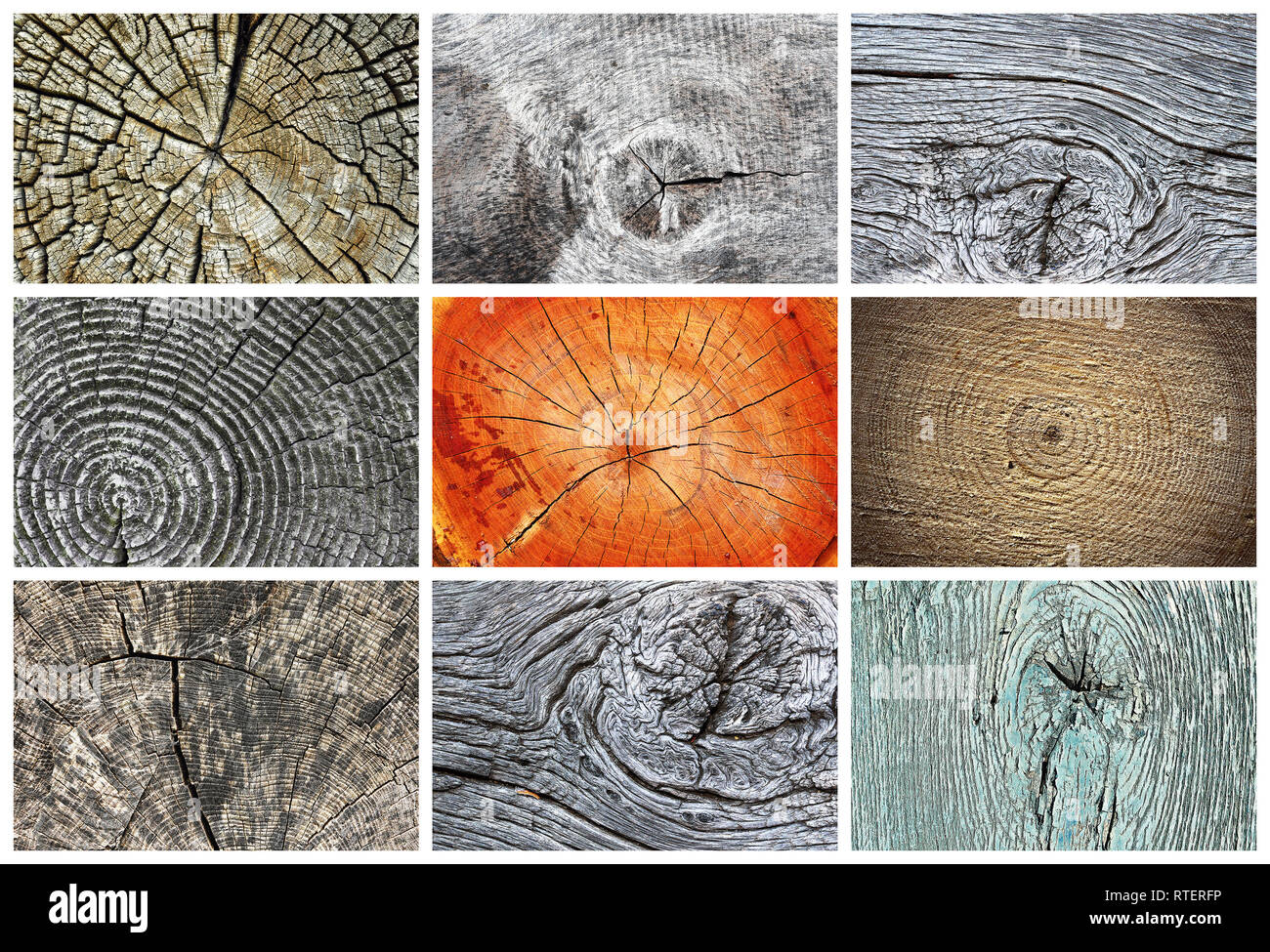 Sammlung von knorrigen Holz Texturen für Ihr Design bereit Stockfoto