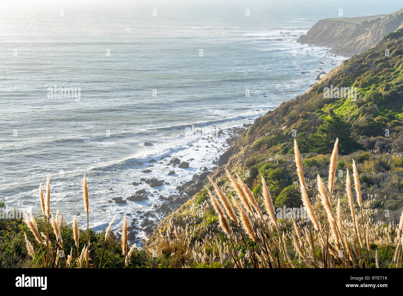 Vista Blick auf die Küste von Big Sur in Kalifornien, als die Sonne über dem Pazifik, die Beleuchtung der cortaderia jubata am Grat entlang. Stockfoto