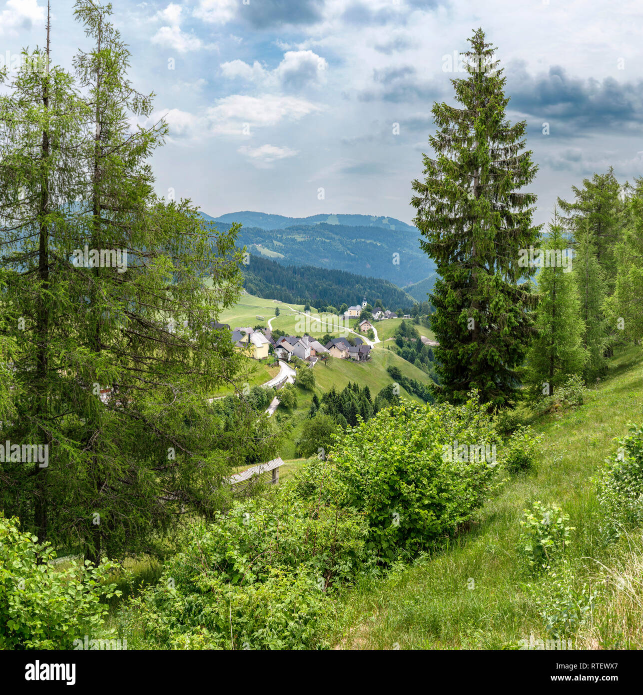 Verstreute Häuser in ein grünes Tal, Spodnja Sorica, Slovenien Stockfoto