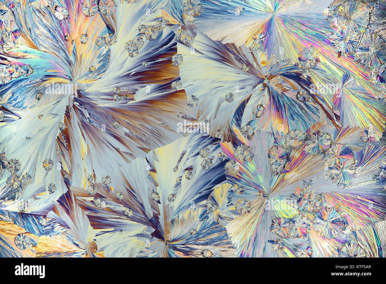 Kristalle von Konservierungsmittel, Zitronensäure, Mikroskop Bild fotografiert in Cross-polarisiertem Licht Stockfoto