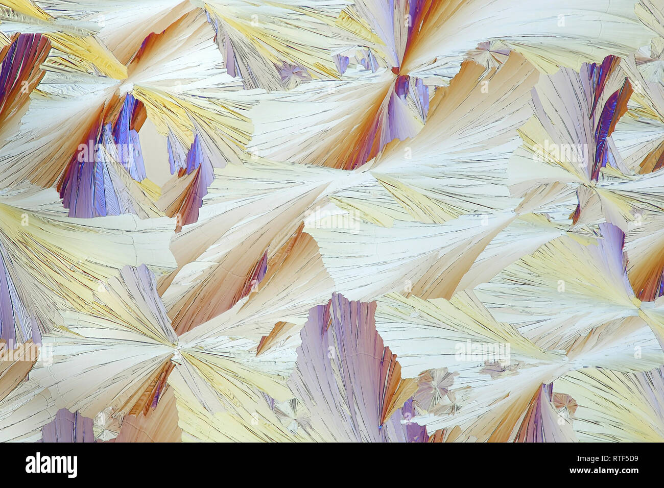 Tanzende Schmetterlinge. Diese sind Kristalle eines Lebensmittels Konservierungsmittel, Zitronensäure, Mikroskop Bild in Kreuz fotografiert - polarisiertes Licht Stockfoto