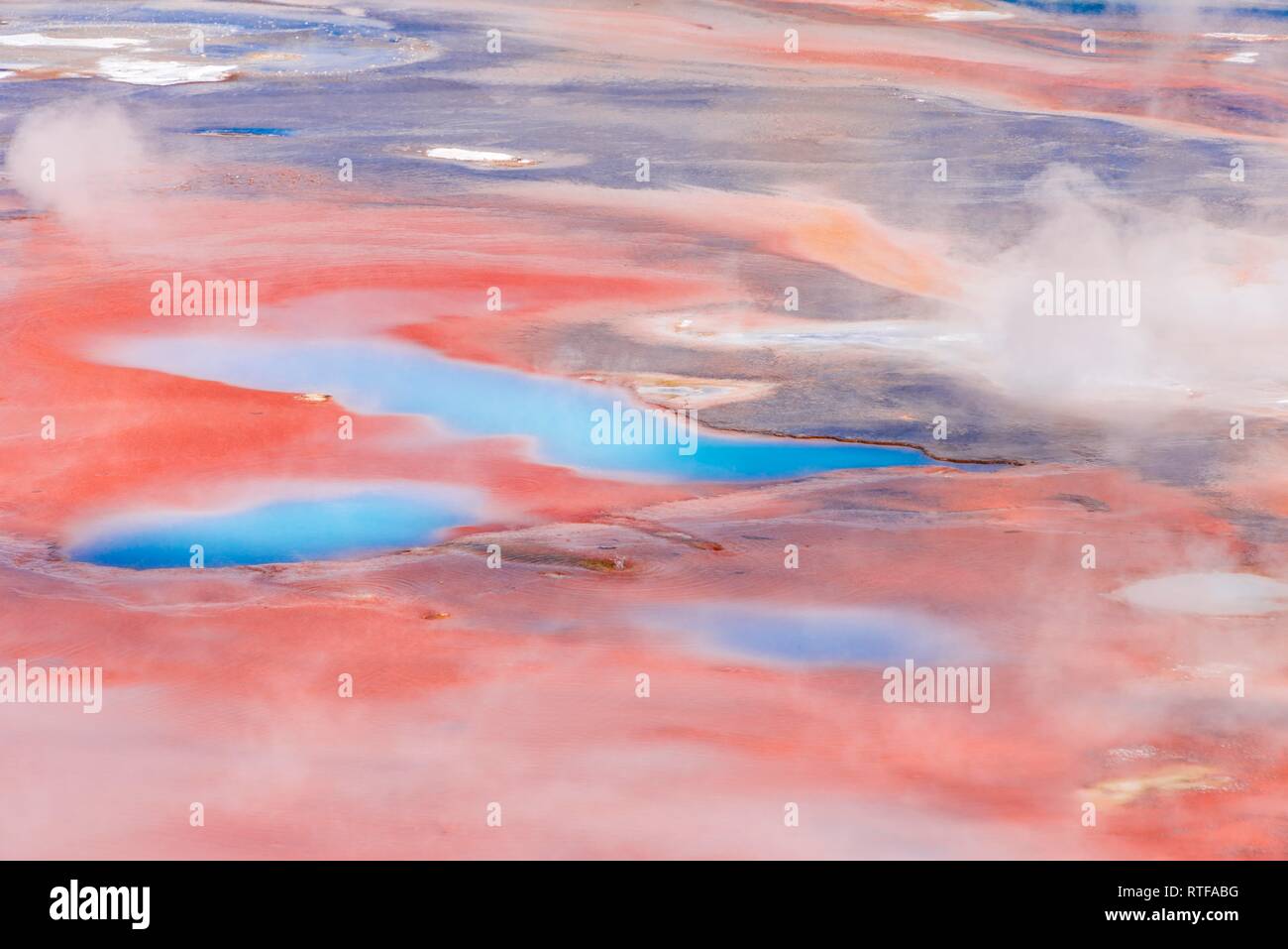 Abstrakte detail, Hot Springs, farbenfrohe Mineralablagerungen in Porzellan Waschbecken, Noris Geyser Basin, Yellowstone National Park Stockfoto