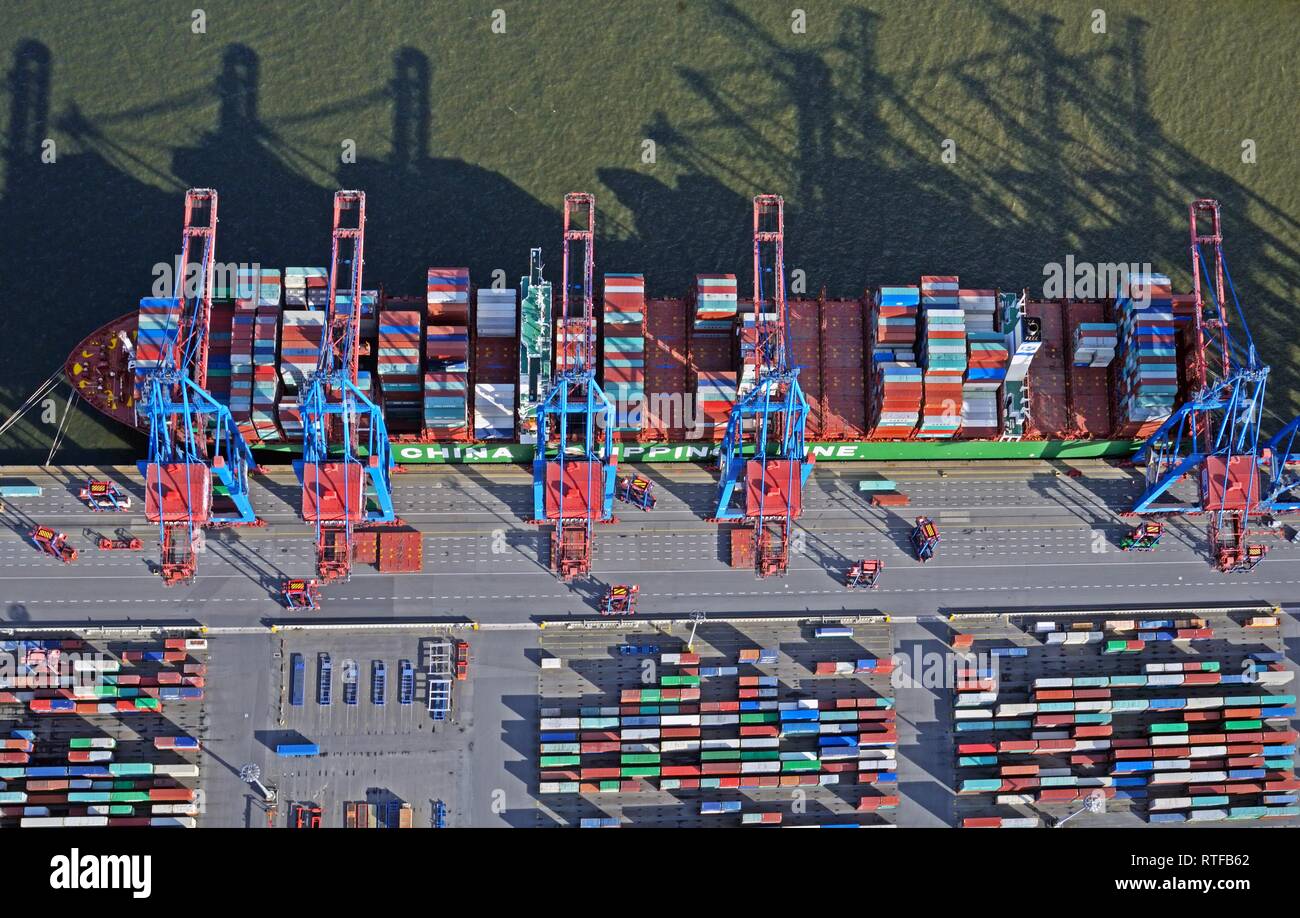 Containerschiff Xin Los Angeles Miniatur - Detailiertes Schiffsmodell 12cm