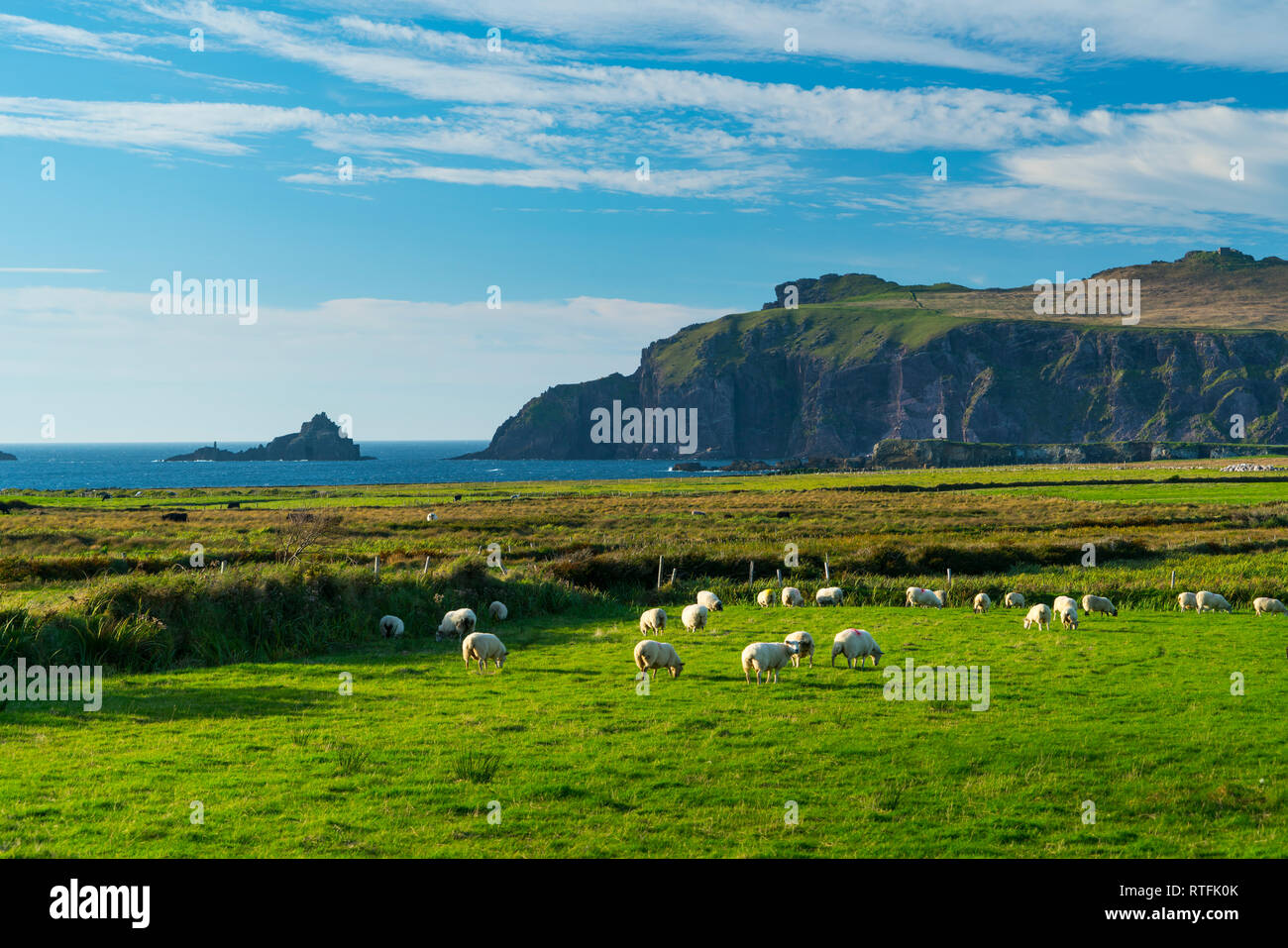 Coumeenoole Bay, der Halbinsel Dingle in der Grafschaft Kerry, Irland, Europa Stockfoto