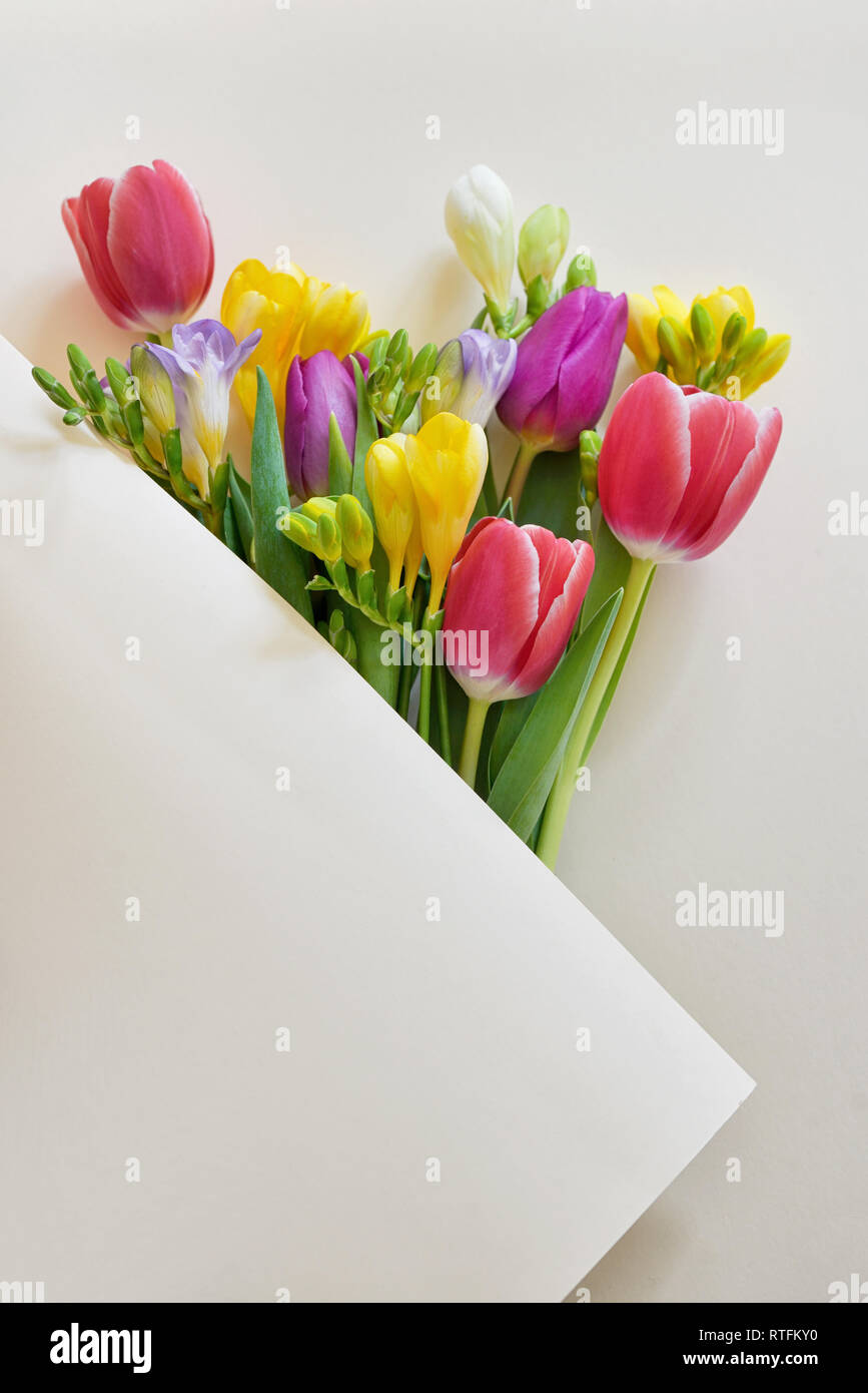 Blumensträuße von Tulpen und Freesie Blumen auf weißem Papier Stockfoto