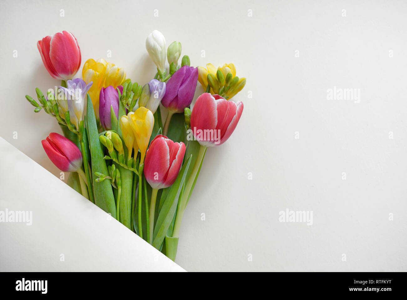 Blumensträuße von Tulpen und Freesie Blumen auf weißem Papier Stockfoto