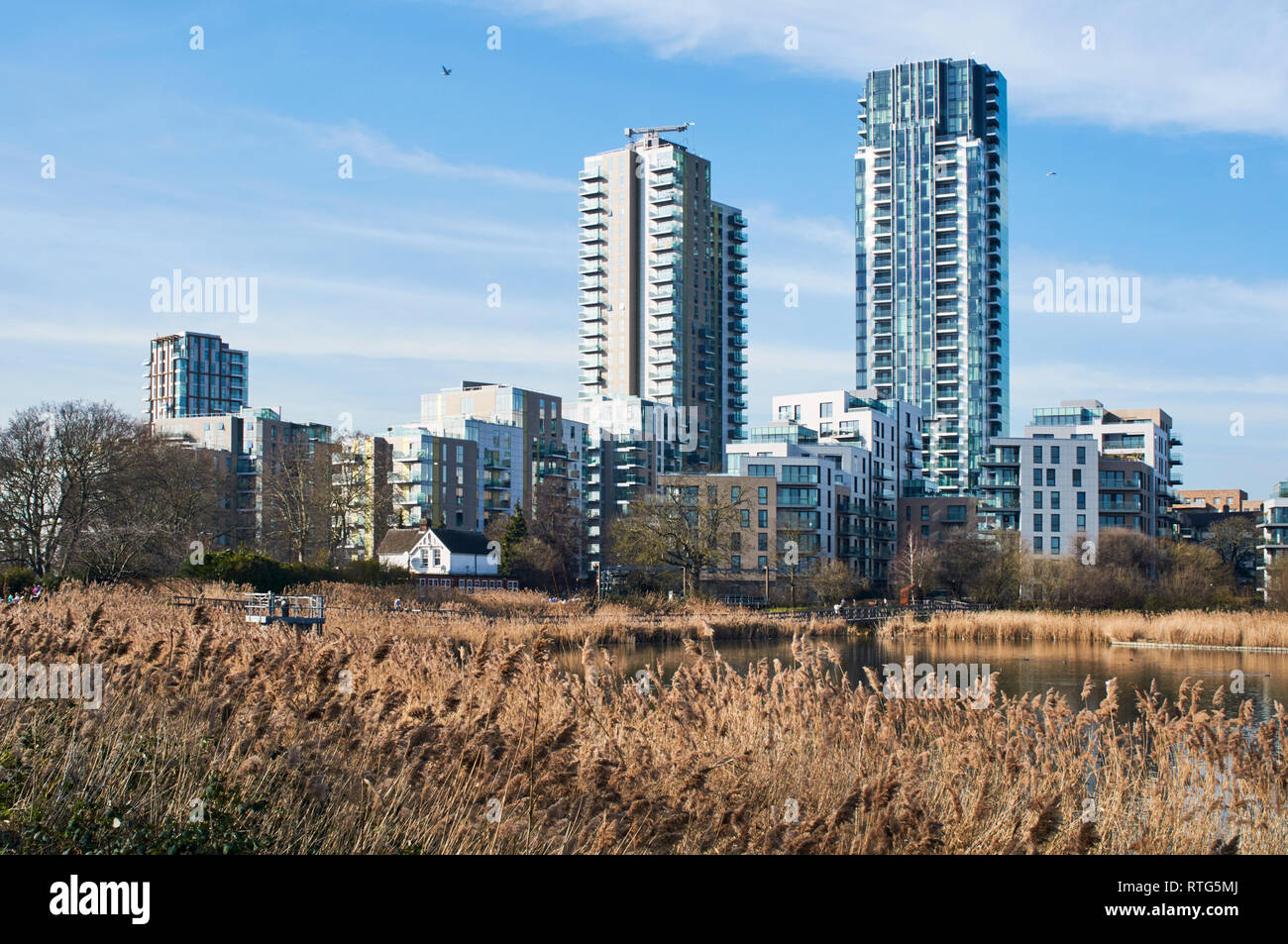 Die neue Skyline Apartments gesehen von woodberry Feuchtgebiete Naturschutzgebiet, in der Nähe von Stoke Newington, London UK Stockfoto