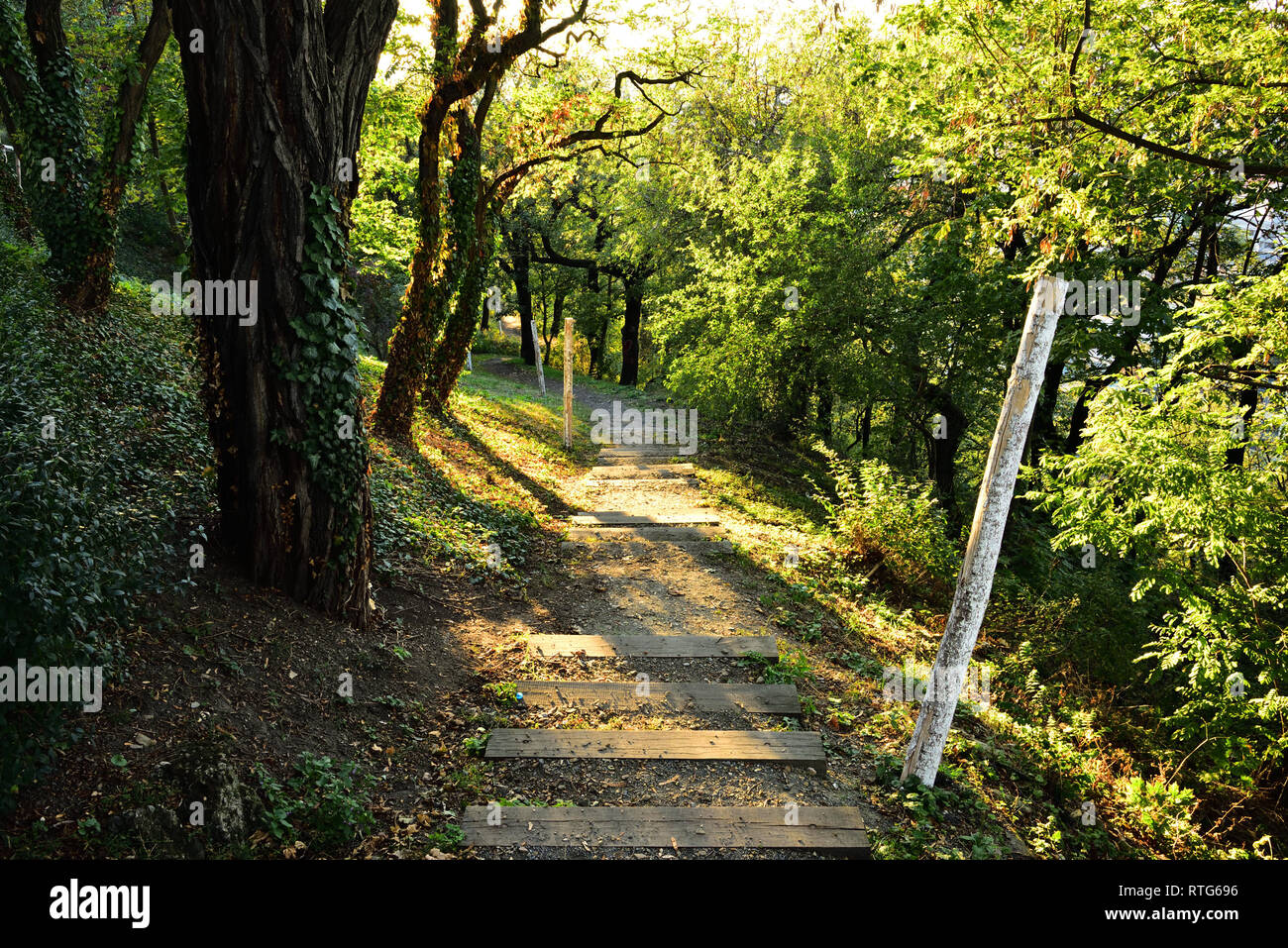 Straße in den Park auf der Vítkov-Hügel. Hellen, sonnigen Abend. Stockfoto